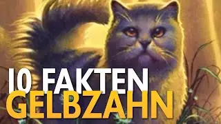 10 Fakten über Gelbzahn | Warrior Cats Fakten