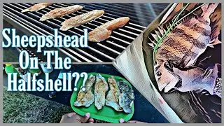 Spearfishing Tampa Bay - Sheepshead Catch And Cook!