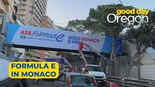 Behind the Wheel: Formula E
