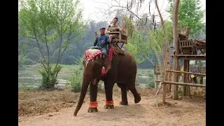 Noi Sengsourigna # One Woman's Journey to Preserve and Promote Lao Culture Part One