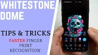 Whitestone DOME Screen Protector for S10/S10+