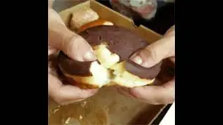 My Boston Cream Sample