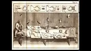 Galvanism