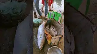 mini trip to Yanam #yanam #pondicherry #unionterritoriesofindia #telugu #trip #river #viralvideo