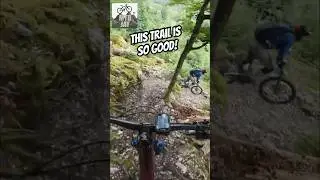 The End Of The Suchet Trail Is So Good!