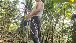 G. Y. The best in climbing trees #THE MAYAN JUNGLE I❤️NATURE.