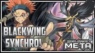 Blackwing Synchros! The Best Way to Play Blackwings! [Yu-Gi-Oh! Duel Links]