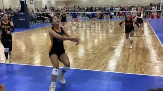 IMG 00251