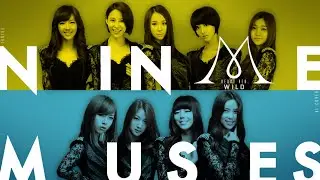 Nine Muses - Wild (Debut Line-up AI Cover)