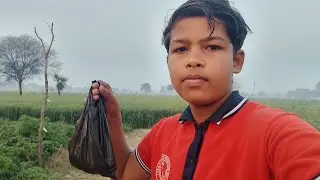 Panni ka Raj #vlgz