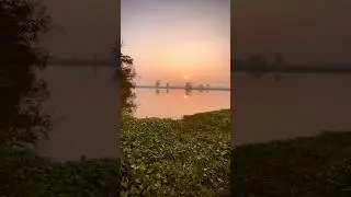 Beautiful village nature #shorts #village #bangladesh