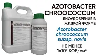 Azotobacter chroococcum. Биопрепарат для стимуляции роста растений. СЗР Planteco&reg;