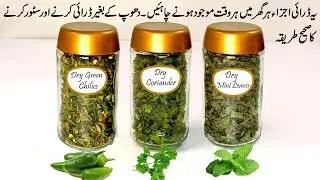 Dry Green chilli Mint and Coriander | Dry Green Chillies | Dry Mint leaves | Dry Coriander |Dry item