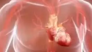 Hart Attack 3D Animation biology short video ##