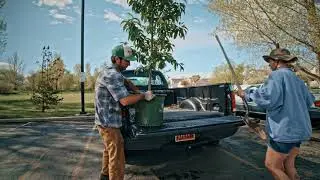 Tree Utah How to Plant a Tree