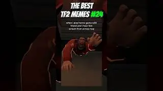 The FUNNIEST TF2 Memes #24