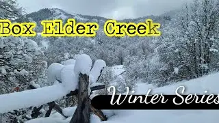 Hiking Box Elder Creek - Winter Series - Cache MACS Trail Time