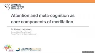 CMS Mindfulness Science Keynote Lecture - Dr. Peter Malinowski