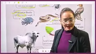 GK Class 3 Fast Facts 1 : Super - Strong Animals