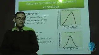 Enzimas:   Factores que Afecta a la Actividad