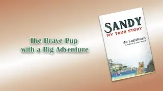 Sandy | Picture Books | Jo Lapthorn