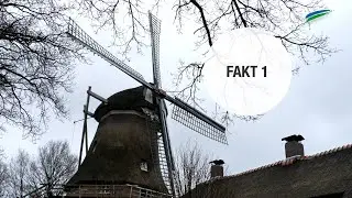 5 Fakten &uuml;ber Felde