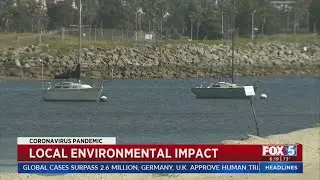Local Environmental Impact