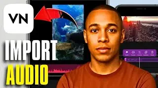 VN Editor: Importing and Managing Audio in VN video editor 