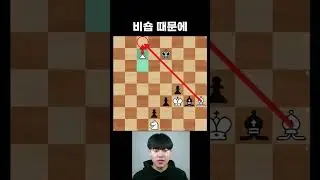 언더 프로모션 장인 히카루 나카무라
