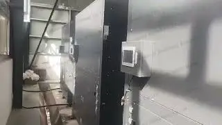 Fruit Chips Continuous Dryer/Fruit Dehydrator/Fruit Processing Equipment