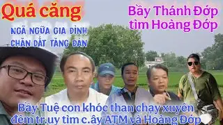Qu&aacute; căng : Bầy Tuệ con ph&aacute;t hiện