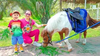 Diana and Roma's Family Zoo Adventure with Animals