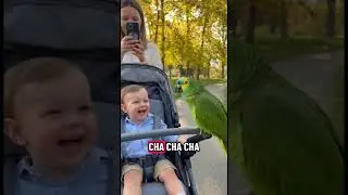 Parrot Babysits a Baby?! 😳🦜 Funniest Toddler & Talking Bird Duo Ever