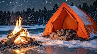 Cozy Winter Campfire with Sleeping Cat | Snowfall ASMR for Sleep & Relax