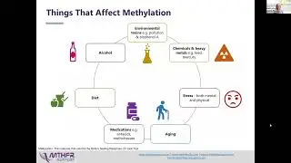 Why is methylation so important?