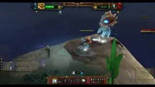 WoW :Flowing Pandaren Spirit (pandaren water spirit) - 1 pet strategy