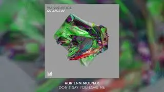 Adrienn Molnar - Don't Say You Love Me