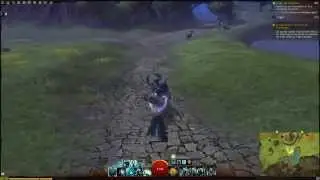 Guild Wars 2 - Destroying 