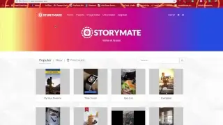 Awesome Instagram story software Bonus