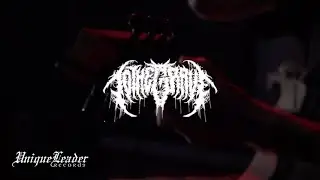 TO THE GRAVE - [&bull;REC] (Official Guitar Playthrough)
