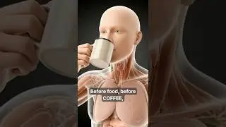 Этот напиток оздоровит ваш кишечник еще до завтрака &ndash; 3D-анимация анатомии #короткометражки #наук...