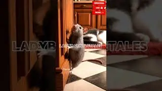 The Brave Little Rat and the Sleeping Cat. #funny #folktales #cat #animated