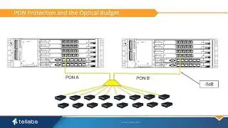 Implementing Tellabs Optical LAN PON Protection