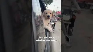 Happy Life 🥰❤️#happydiwali #viral #youtubeshorts