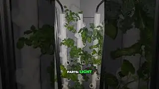 Apartment Gardening for Beginners: Honest Garden Review