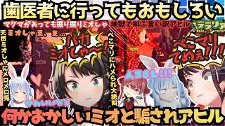 【ホロテラリア５日目】