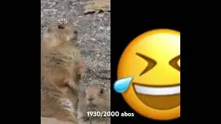 #2homiedawgs #funny #witzig #lachen #lustig #meme #animals #tiere #happy #trending