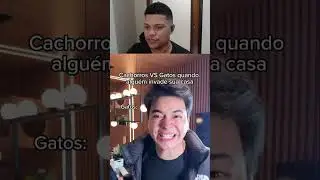 GATOS VS CACHORROS QUANDO ALGU&Eacute;M INVADE A SUA CASA - MoriMura | REACT