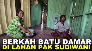 PAK @wanirantau  MELIHAT POTENSI LUAR BIASA DARI LAHAN PERTANIAN TRANSMIGRASI KALIMANTAN UTARA