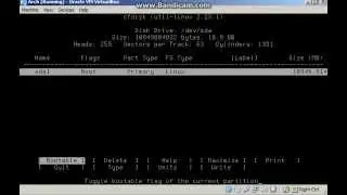 cfdisk w instalatorze Arch Linux